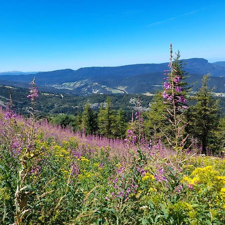 Duplex 59M2 - Proche Centre - Balcon Plein Sud Apartment Correncon-en-Vercors Bagian luar foto