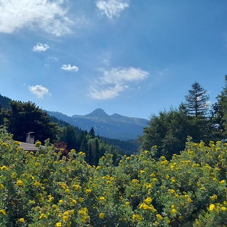 Duplex 59M2 - Proche Centre - Balcon Plein Sud Apartment Correncon-en-Vercors Bagian luar foto