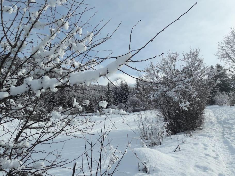 Duplex 59M2 - Proche Centre - Balcon Plein Sud Apartment Correncon-en-Vercors Bagian luar foto