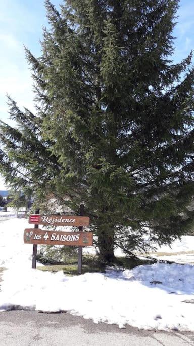 Duplex 59M2 - Proche Centre - Balcon Plein Sud Apartment Correncon-en-Vercors Bagian luar foto