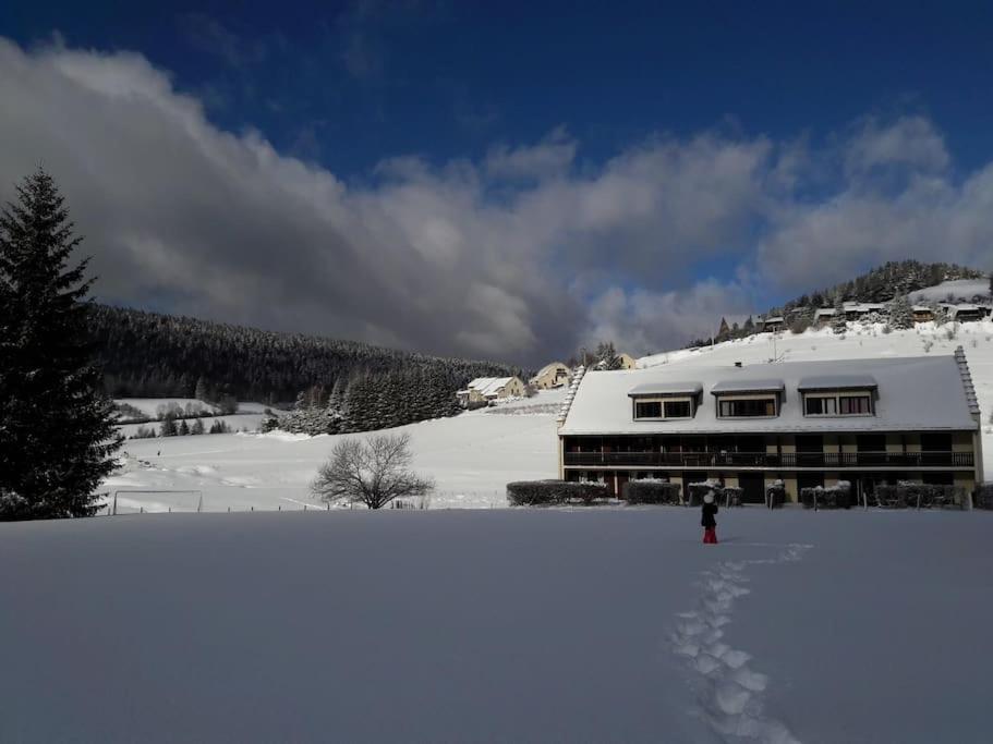 Duplex 59M2 - Proche Centre - Balcon Plein Sud Apartment Correncon-en-Vercors Bagian luar foto