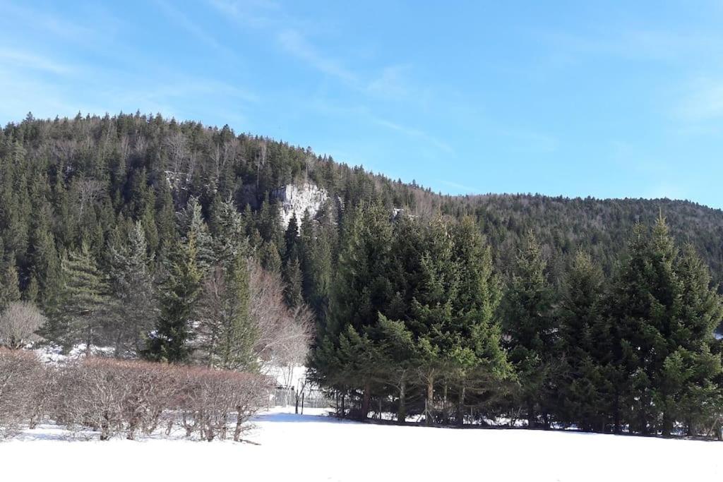 Duplex 59M2 - Proche Centre - Balcon Plein Sud Apartment Correncon-en-Vercors Bagian luar foto