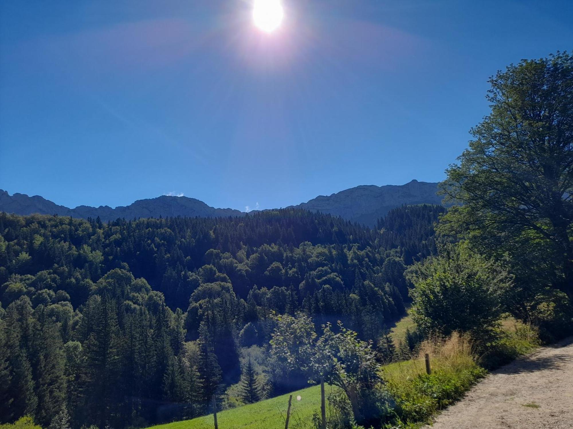 Duplex 59M2 - Proche Centre - Balcon Plein Sud Apartment Correncon-en-Vercors Bagian luar foto