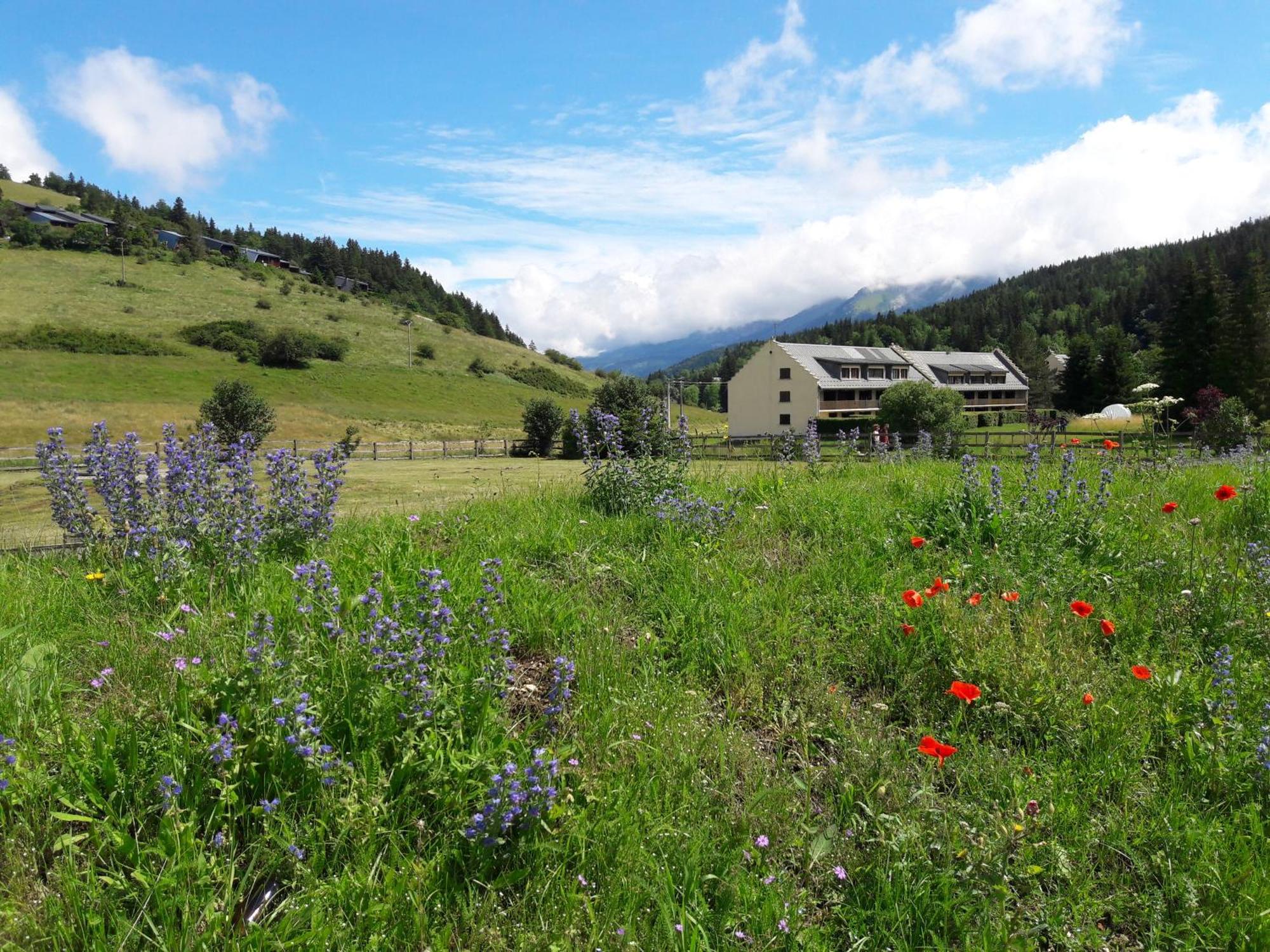 Duplex 59M2 - Proche Centre - Balcon Plein Sud Apartment Correncon-en-Vercors Bagian luar foto